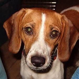 Meet your Posher, Glenn